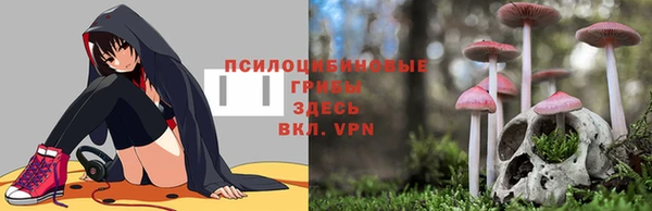 бутират Магадан